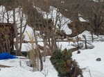 20180401_112126.jpg