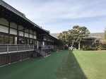 明治神宮外苑 (3).jpg