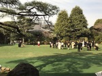 明治神宮外苑 (4).jpg