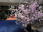 明治神宮外苑 (7).jpg